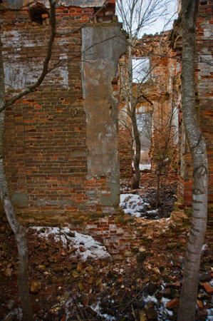 LENINGRAD REGION, RUSSIA - MARCH 9, 2014: view of the destroyed old buildings on the territory of the Blumentrostov and von Gersdorff estate in Kummolovo in cloudy weatherのeditorial素材