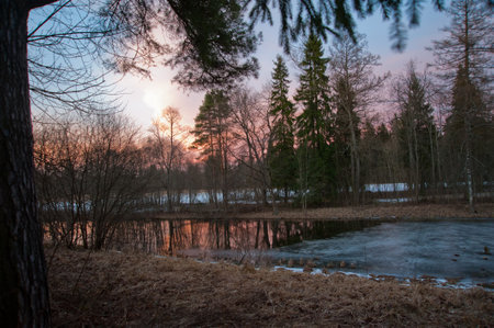 LENINGRAD REGION, RUSSIA - MARCH 9, 2014: View of the old building Demidov Manor in Thais. Abandoned old mansion near St. Petersburg.のeditorial素材