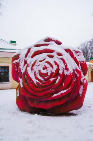 St. PETERSBURG, RUSSIA - DECEMBER 4, 2012: View of the plastic object of mixed technique, which is called a rose against the snow, by the sculptor Sergey Dodtのeditorial素材