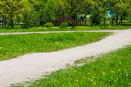 Russia, Saint Petersburg: view of the beautiful summer landscape in the Park