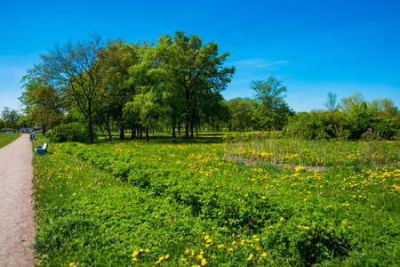 Russia, Saint Petersburg: view of the beautiful summer landscape in the Park