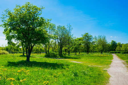 Russia, Saint Petersburg: view of the beautiful summer landscape in the Park