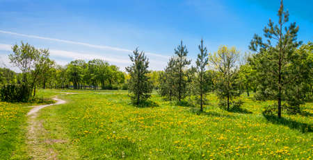 Russia, Saint Petersburg: view of the beautiful summer landscape in the Parkの写真素材