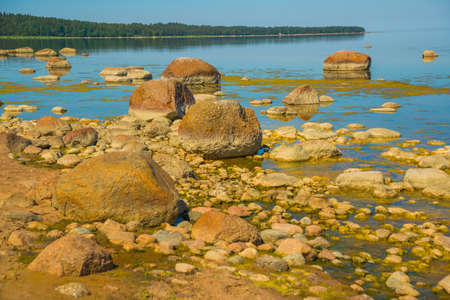 Gulf of Finland coast. Saint Petersburg, Russia.