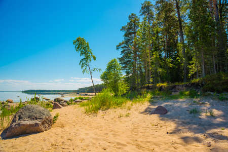 Landscape with a view of the Gulf of Finland. Saint Petersburg, Russia.の写真素材