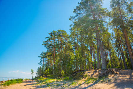 Landscape with a view of the Gulf of Finland. Saint Petersburg, Russia.の写真素材