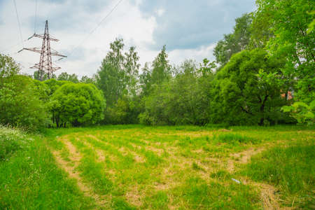 Russia, Saint Petersburg: view of the summer landscape in the Park