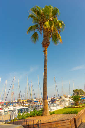 KEMER, TURKEY: White yachts in the sea harbor of Kemer, Antalya province in Turkey. Kemer Marina on the Mediterranean seaの写真素材