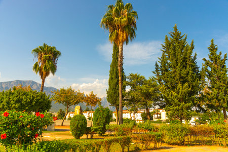 KEMER, TURKEY: Beautiful City Park on a sunny day in Kemer, Turkey.の写真素材