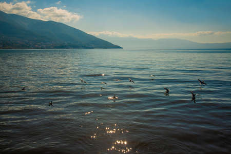 VLORA / VLORE, ALBANIA: Beautiful view of the sea and gulls on a sunny day in Vlora.