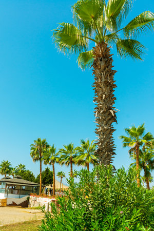 ANTALYA, TURKEY: Beautiful landscape on Lara beach on the Mediterranean coast in Antalya, Turkeyのeditorial素材