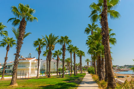 ANTALYA, TURKEY: Beautiful park with palm trees and which leads to Lara beach in Antalya, Turkeyのeditorial素材