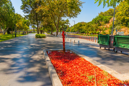 ANTALYA, TURKEY: Beautiful Trees and roads on the territory of Konyaalti beach in sunny summer in Antalya, Turkey.のeditorial素材