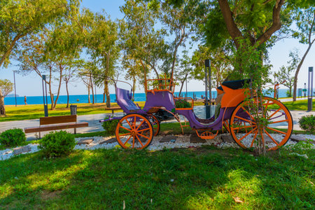 ANTALYA, TURKEY: Beautiful Trees and roads on the territory of Konyaalti beach in sunny summer in Antalya, Turkey.のeditorial素材
