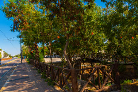 ANTALYA, TURKEY: Pedestrian road and trees in Ataturk Park in Antalya on a sunny summer day, Turkey.の写真素材