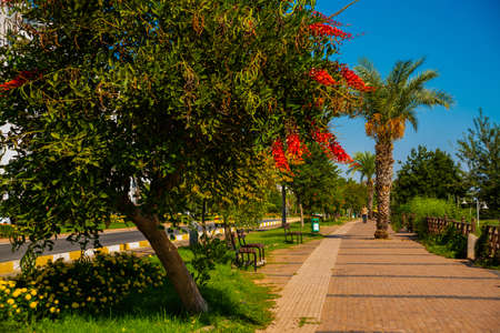 ANTALYA, TURKEY: Pedestrian road and trees in Ataturk Park in Antalya on a sunny summer day, Turkey.の写真素材