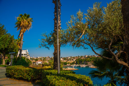 ANTALYA, TURKEY: Beautiful sunny public city Ataturk Park in Antalya. Horizontal color photography.