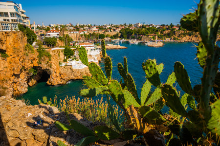 ANTALYA, TURKEY: Beautiful landscape on the sea and cacti on a sunny summer day in the Ataturk Park in Antalya, Turkey.のeditorial素材