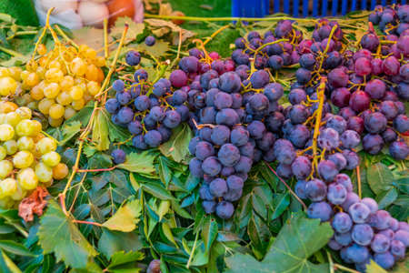 ANTALYA, TURKEY: Grapes on sale in a street market. Grocery traditional Turkish bazaar in Antalya, Turkey.の写真素材