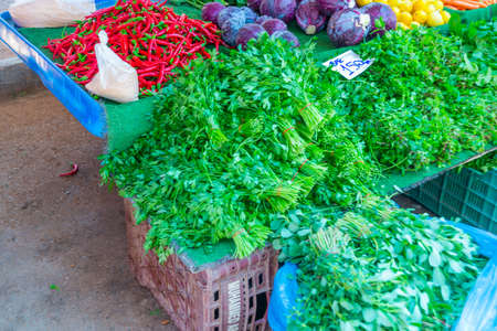ANTALYA, TURKEY: Grocery traditional Turkish bazaar in Antalya, Turkey.の写真素材