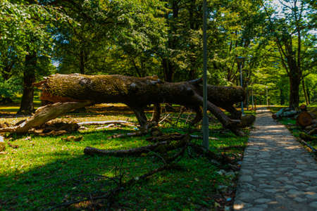 OKATSE CANYON, IMERETI, GEORGIA: A beautiful scenic road that leads to Okatse Canyon on a sunny summer day. Modern tourist landmark and attraction in Georgia mountains.の写真素材