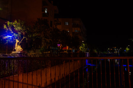 MARMARIS, MUGLA, TURKEY: Sculpture of a Fish on the street by the canal in Marmaris at night.のeditorial素材