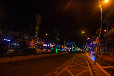 MARMARIS, MUGLA, TURKEY: Beautiful night street decorated for the new year in Marmarisのeditorial素材