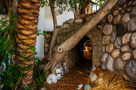CAMYUVA, KEMER, TURKEY: Abandoned Sea Resort buildings of an old hotel Holiday Area Eco Dream Club Sea Resort near the beach in the village of Camyuva.のeditorial素材