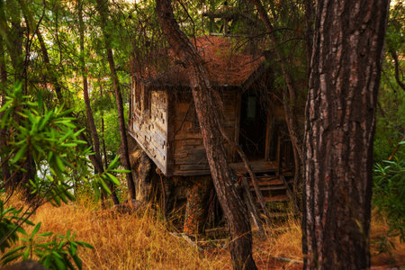 CAMYUVA, KEMER, TURKEY: A tree house in the forest on the territory of a destroyed hotel Holiday Area Eco Dream Club Sea Resort in the forest.のeditorial素材