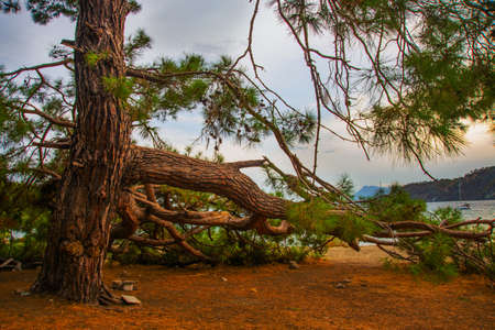 PHASELIS, TURKEY: Beautiful view from the beach to the sea and mountains in the ancient city of Phaselis at sunset in the village of Tekirova, Antalya province, near Kemer, Turkey.の写真素材