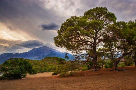 PHASELIS, TURKEY: Beautiful view from the beach to the sea and mountains in the ancient city of Phaselis at sunset in the village of Tekirova, Antalya province, near Kemer, Turkey.の写真素材