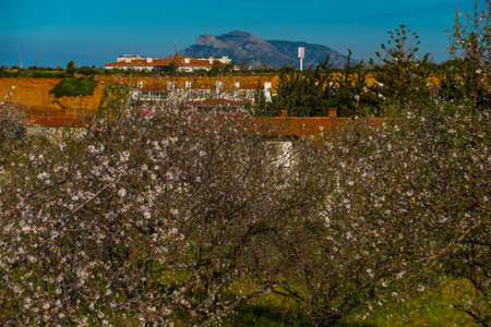 ESKI DATCA, MUGLA, TURKEY: Beautiful spring landscape with a view of the flowering almond tree in Eski Datca on a sunny day.の写真素材