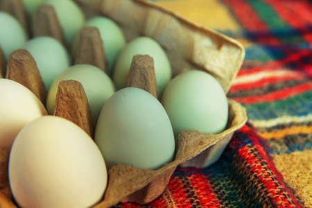 Unusual green and blue eggs on a checkered multicolored background.の写真素材