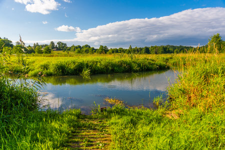 MINSK, BELARUS: Beautiful landscape with trees And the river in a summer Ozertso village near Minsk