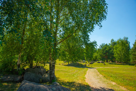 Minsk, Belarus: Geological park-museum of boulders in Minsk, Belarus.のeditorial素材