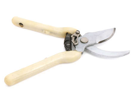 Secateurs for prune of rods. The image contains a contour for cropping.の写真素材