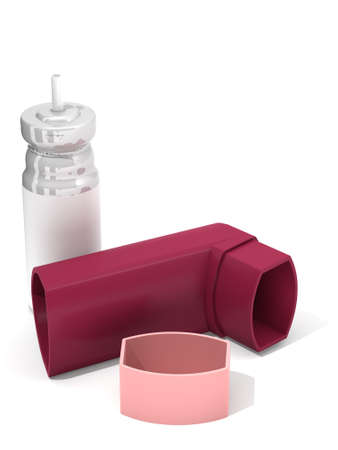 The three-dimensional image of an inhaler in the disassembled kind on a white background