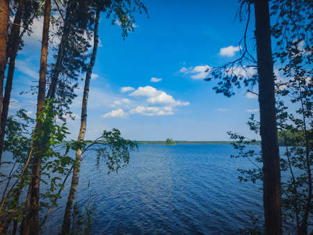 Summer, heat and water.の写真素材