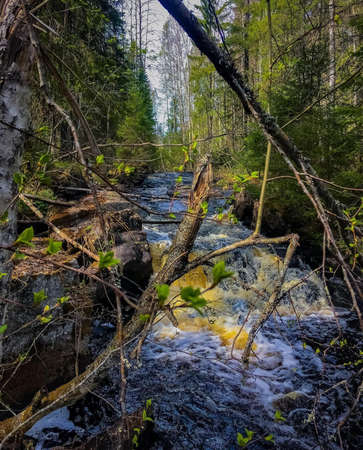 Waterfallの写真素材