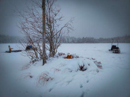 In the cold, winter season.の写真素材