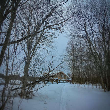 Shed in a woodsの写真素材