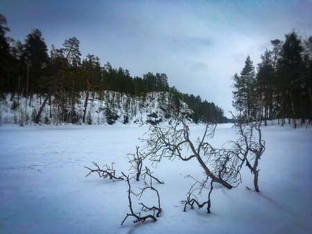 The centuries are behind.の写真素材