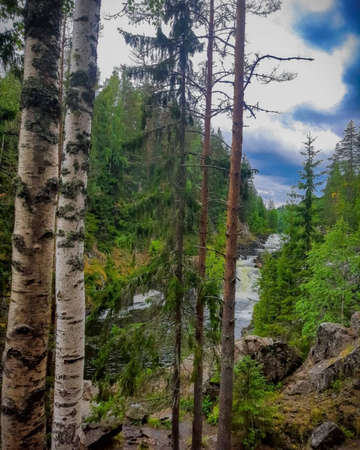 Waterfall in the forests of kareliaの写真素材