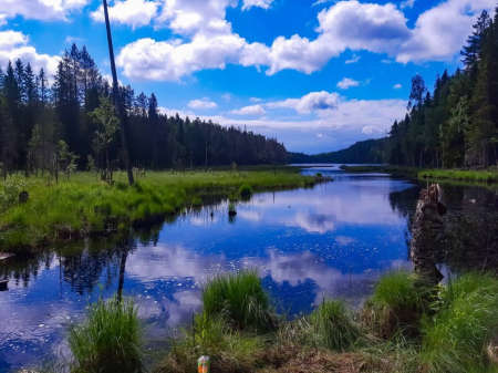 Hot summer dayの写真素材