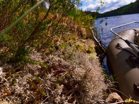 Life under your feetの写真素材