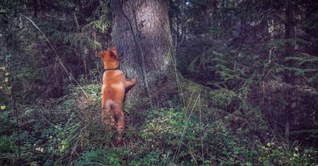 Little hunting in business.