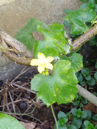 Hello, It's ASHRAF, fancy photographer and HR- data analyst expert.の写真素材