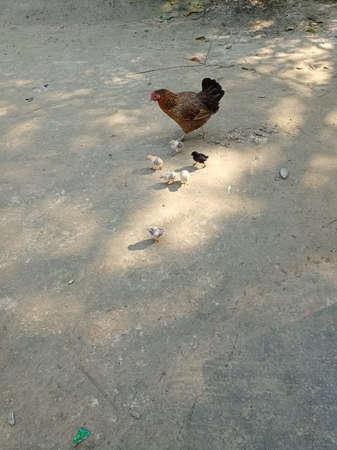 Hello, It's ASHRAF, fancy photographer and HR- data analyst expert.の写真素材