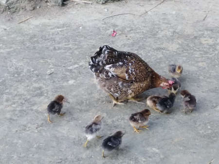 Hello, It's ASHRAF, fancy photographer and HR- data analyst expert.の写真素材