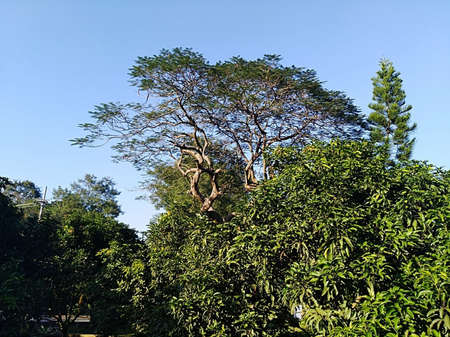 Hello, It's ASHRAF, fancy photographer and HR- data analyst expert.の写真素材